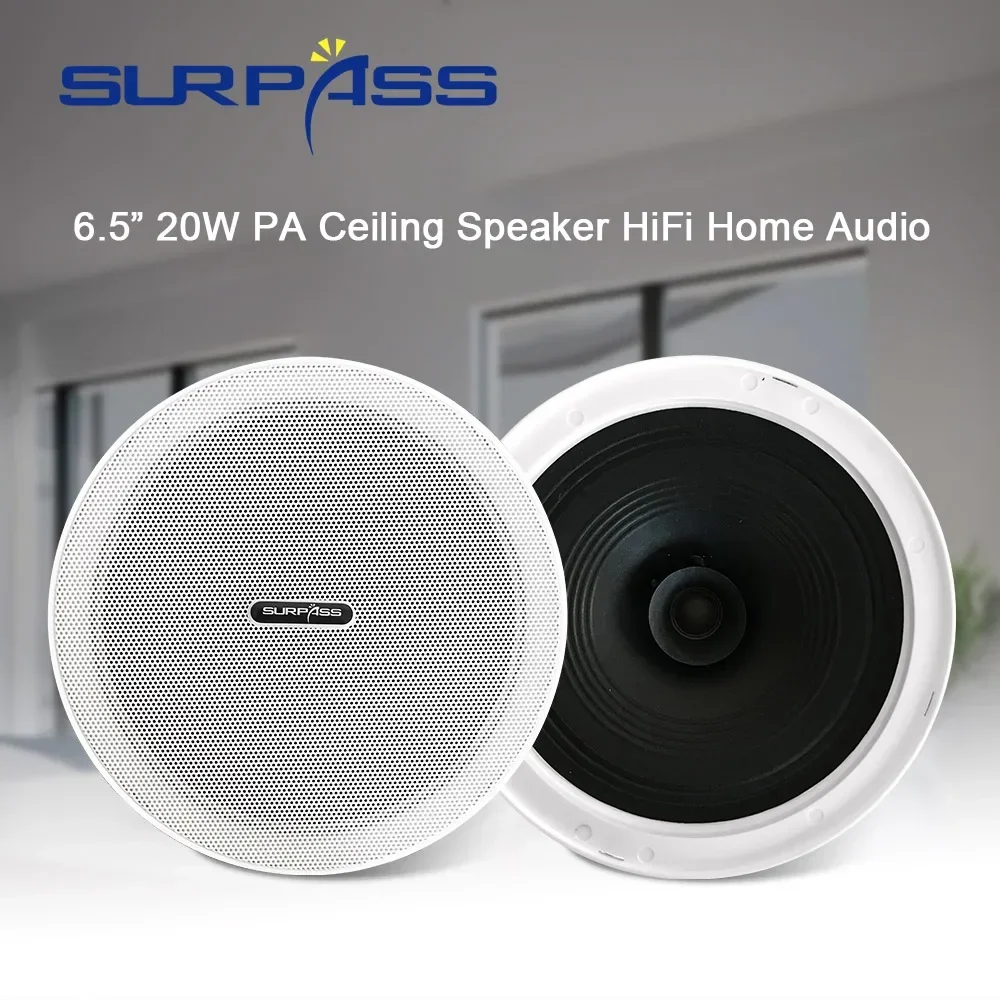 Speaker langit-langit 6.5 inci - Home Cinema System ulasan dan harga
