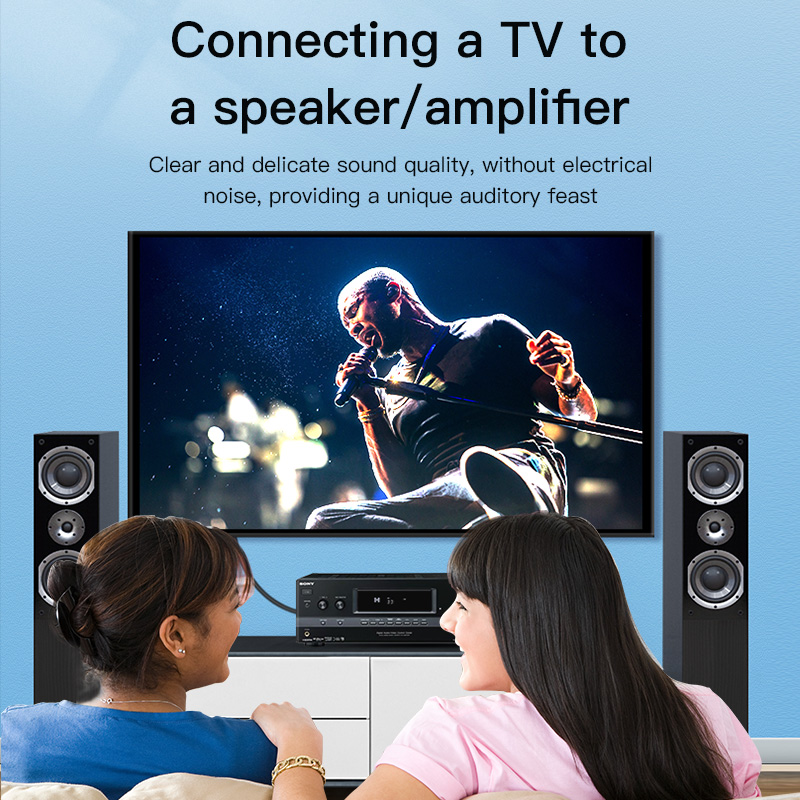 CHOSEAL Kabel RCA Kabel Audio  - Home Cinema Tv ulasan dan harga